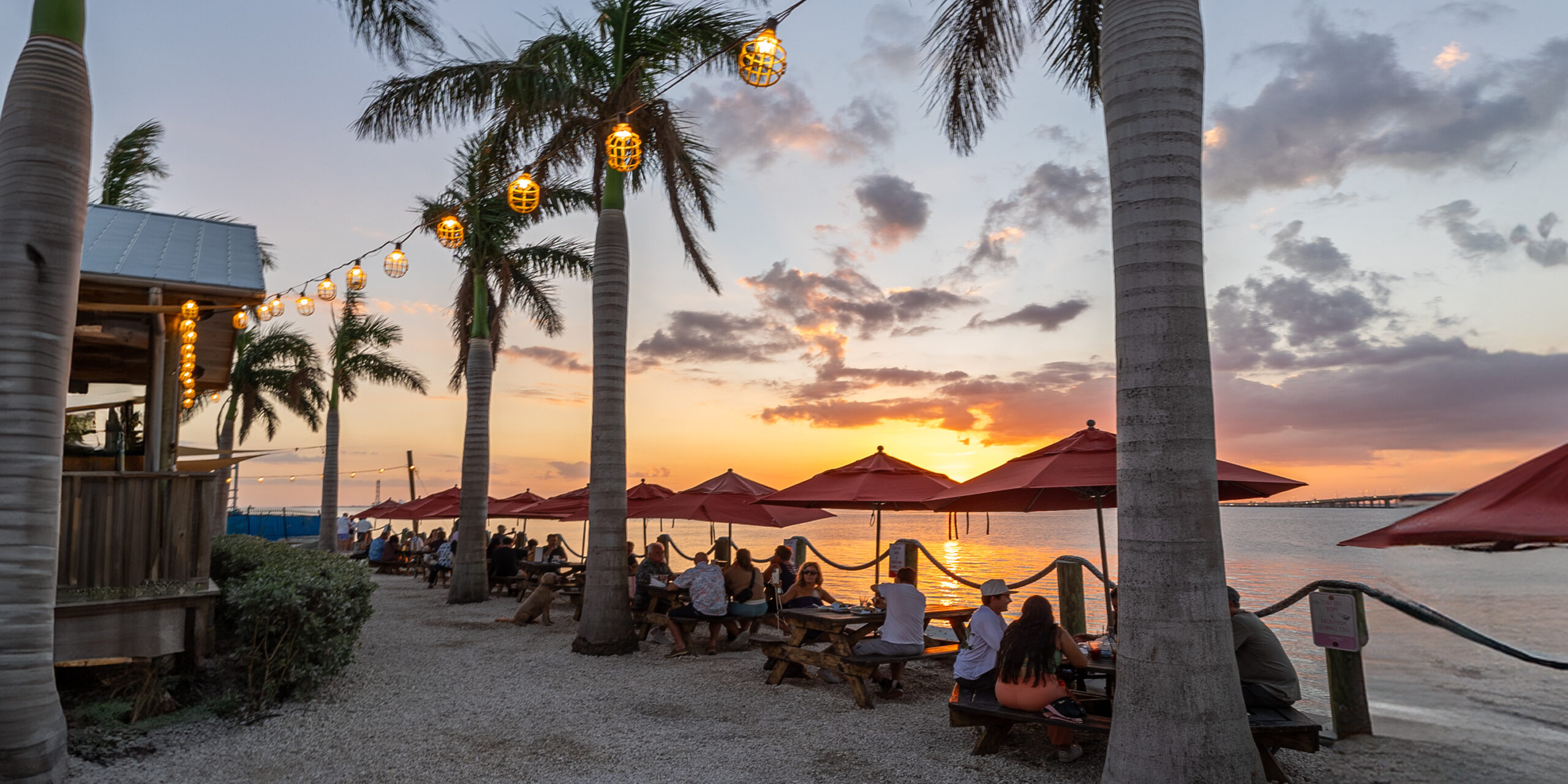 Restaurant in Tampa Bay